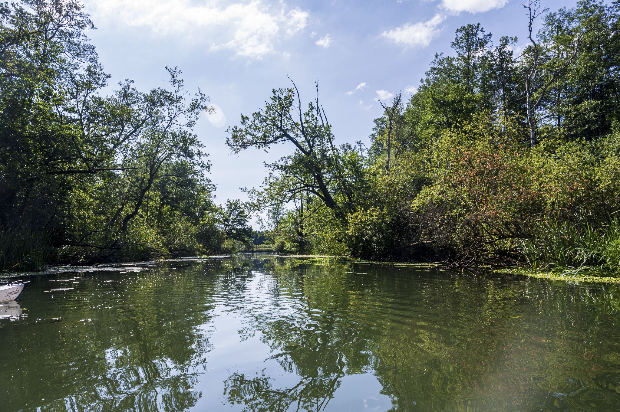 Kajaktour Leutstettner Moos 21.08.2022